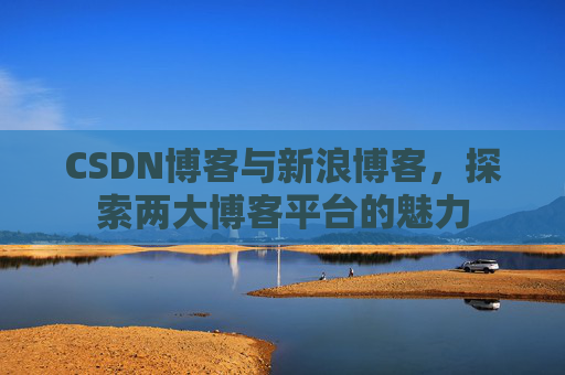 CSDN博客与新浪博客，探索两大博客平台的魅力